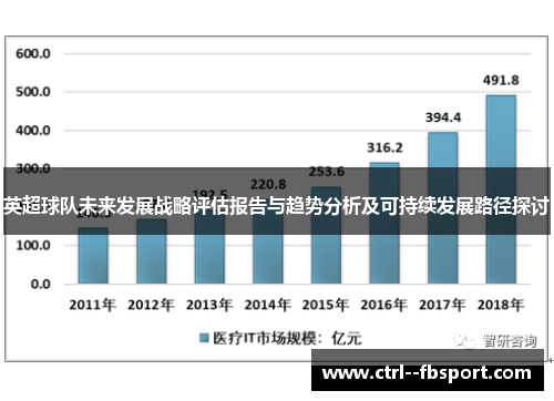 英超球队未来发展战略评估报告与趋势分析及可持续发展路径探讨
